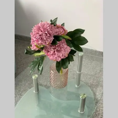 Apartment Im Zentrum